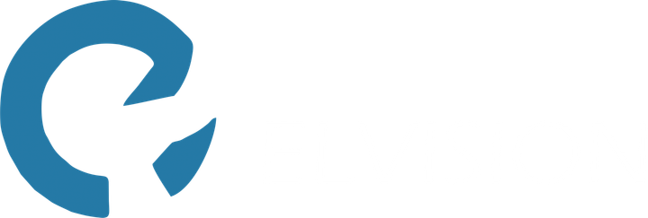 Elvision